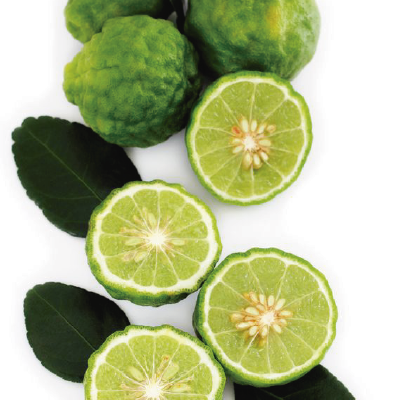 Reduce Tu Estrés Emocional