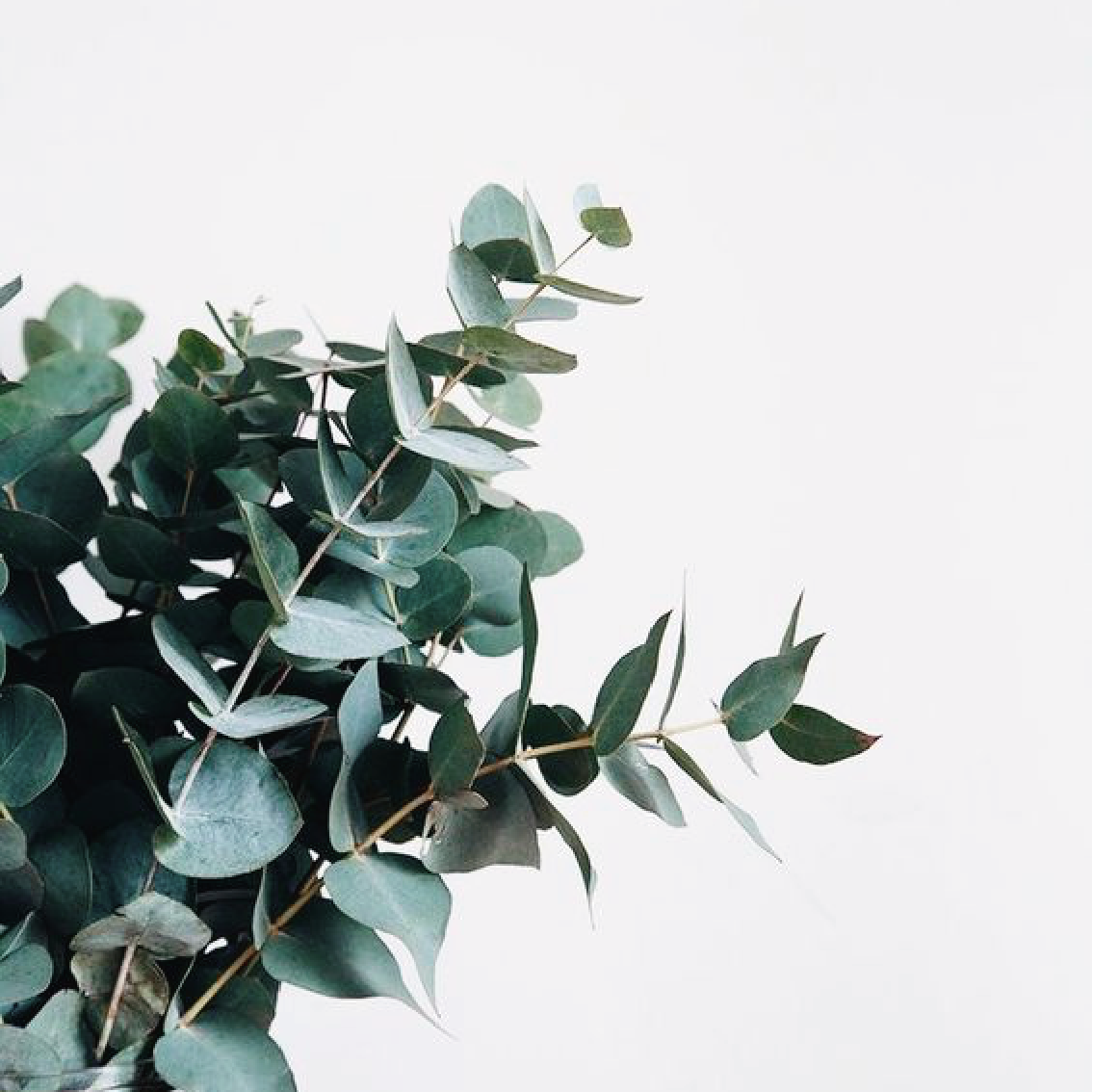 Limpieza en Superficies