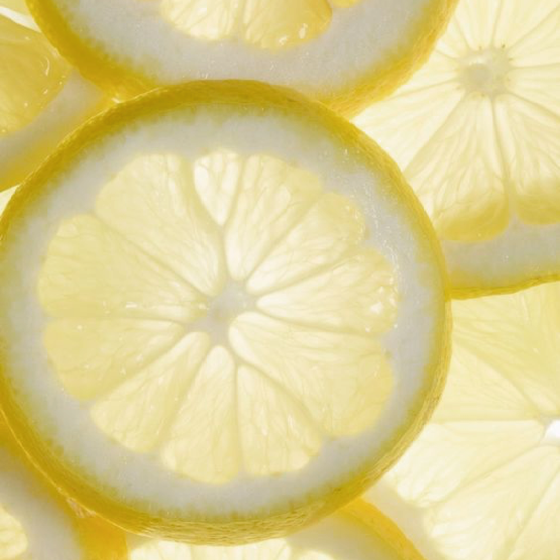 Protector de Muebles