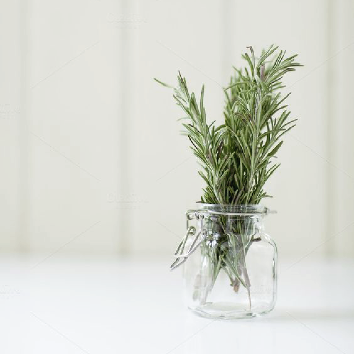 Digestión Saludable