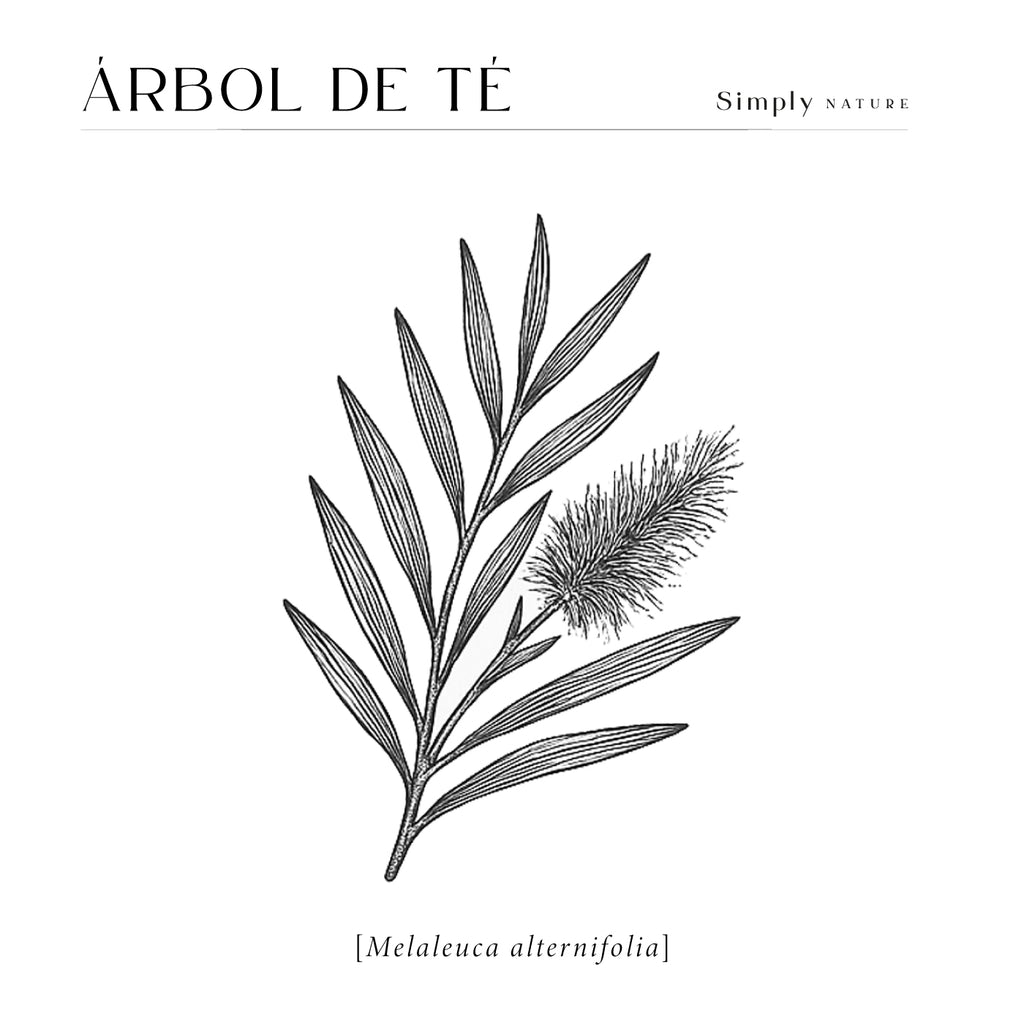 Árbol de te 480ml