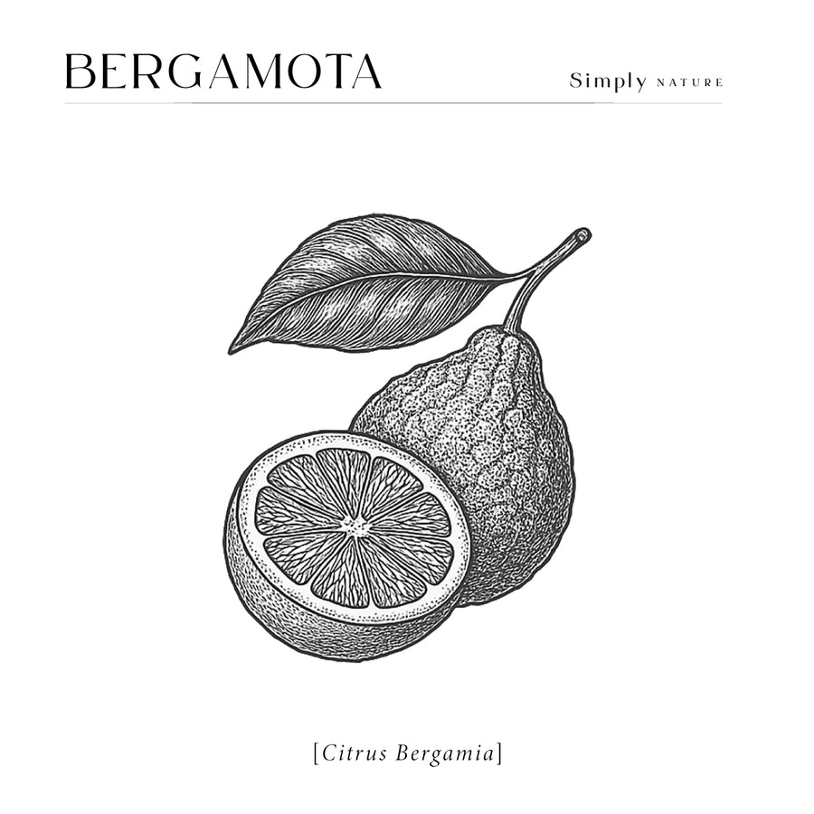 Bergamota 480ml