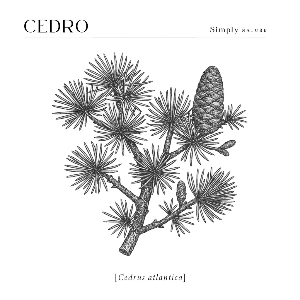 Cedro Orgánico