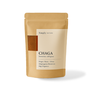 Chaga extracto de polvo orgánico
