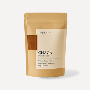Chaga extracto de polvo orgánico