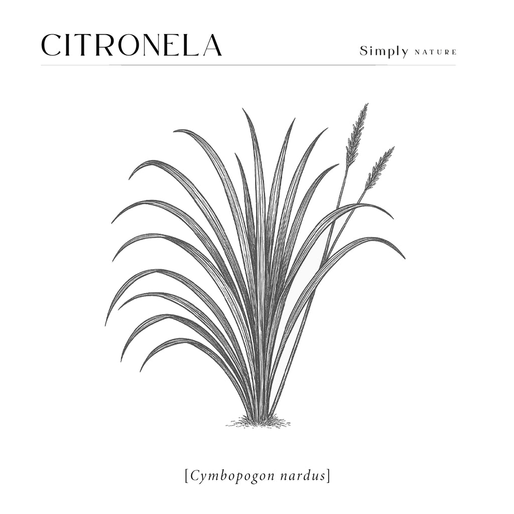 Citronela 480ml