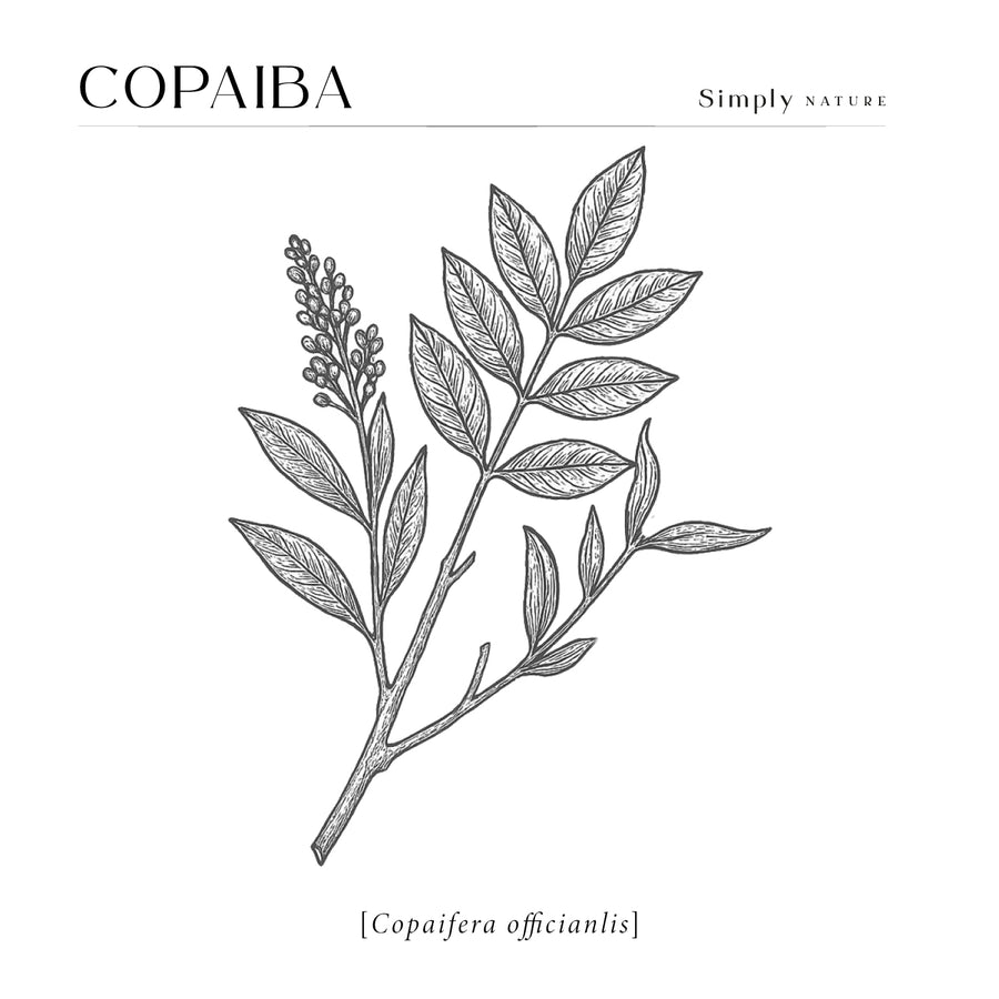 Copaiba Orgánico