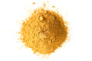 Cordyceps extracto de polvo orgánico
