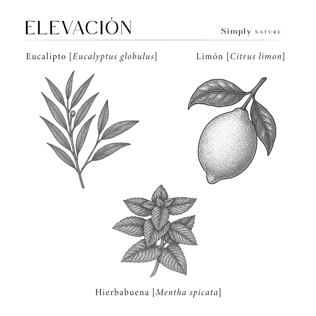 Elevación Orgánica