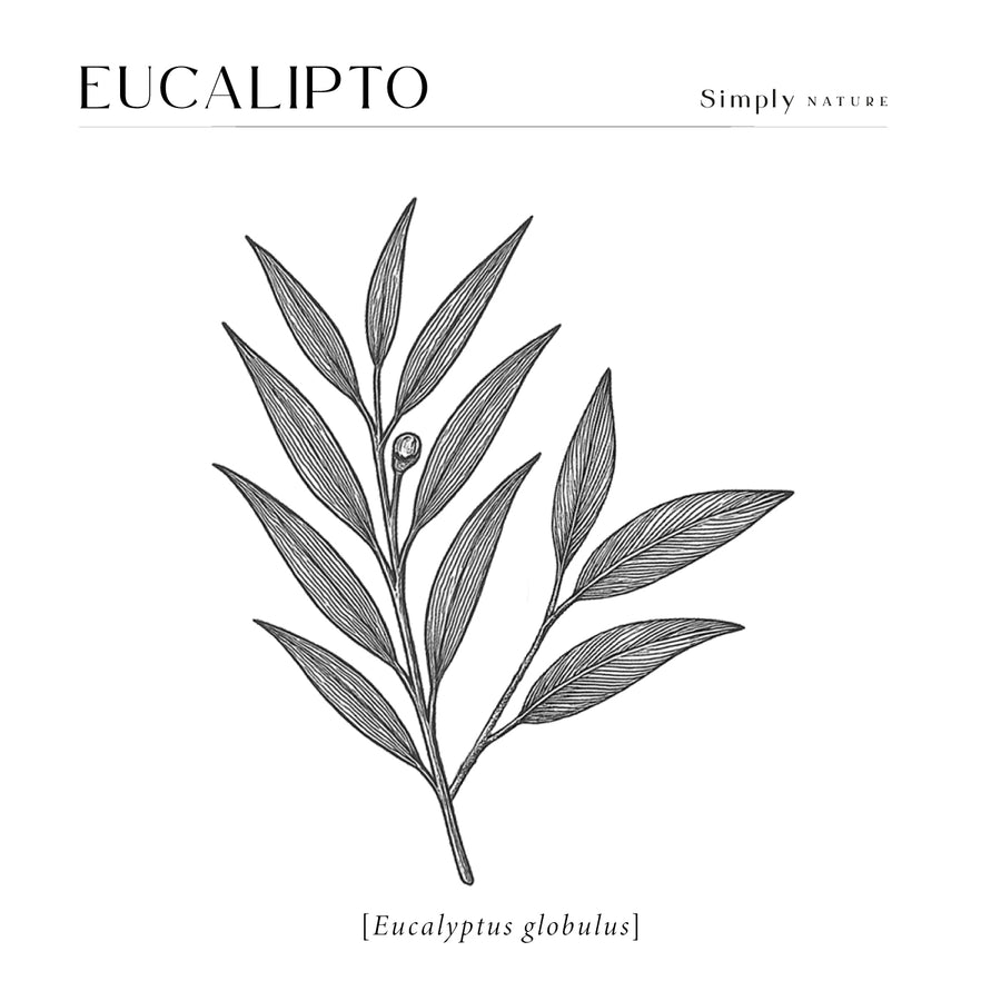 Eucalipto 480ml