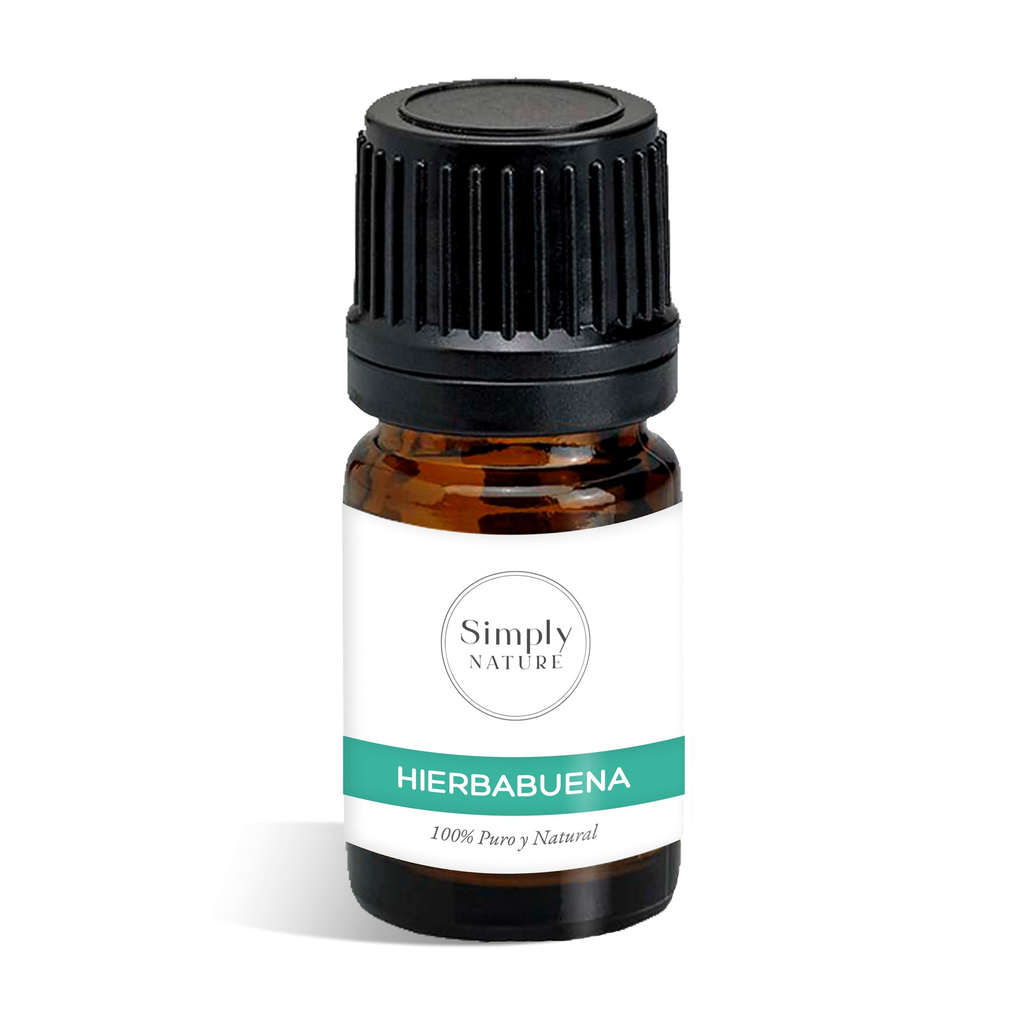 Hierbabuena (Mentha spicata)