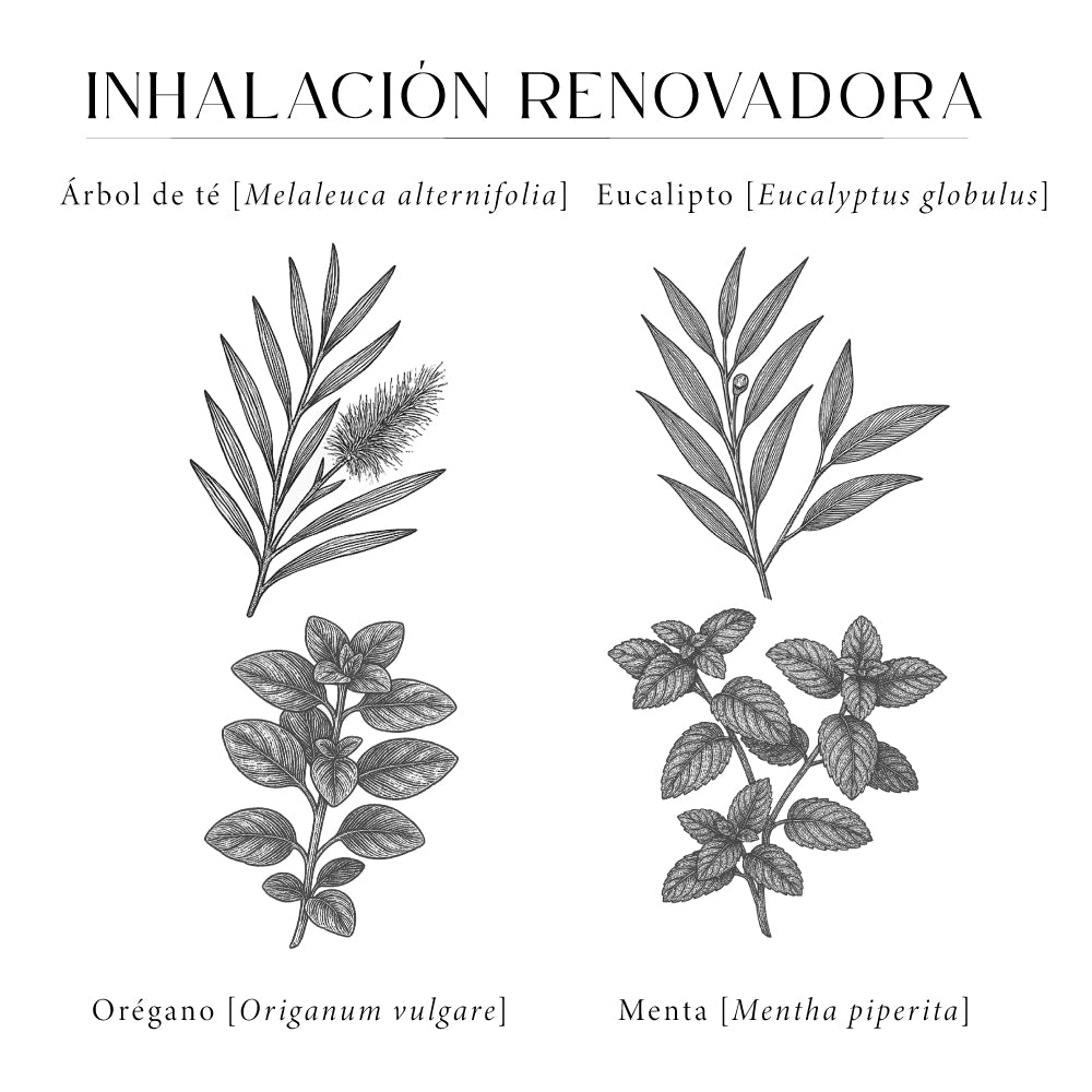 Inhalación Renovadora