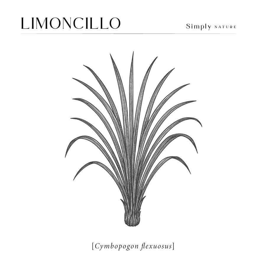 Limoncillo Orgánico