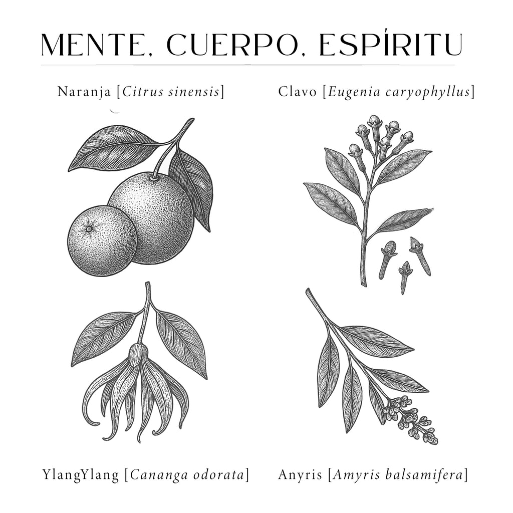 Mente, Cuerpo y Espíritu