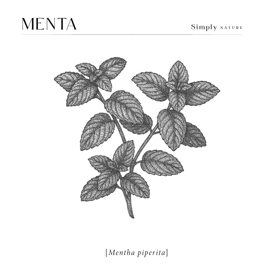 Menta Pura (Mentha piperita) 480ml