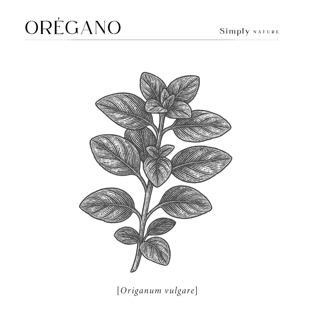 Orégano Orgánico