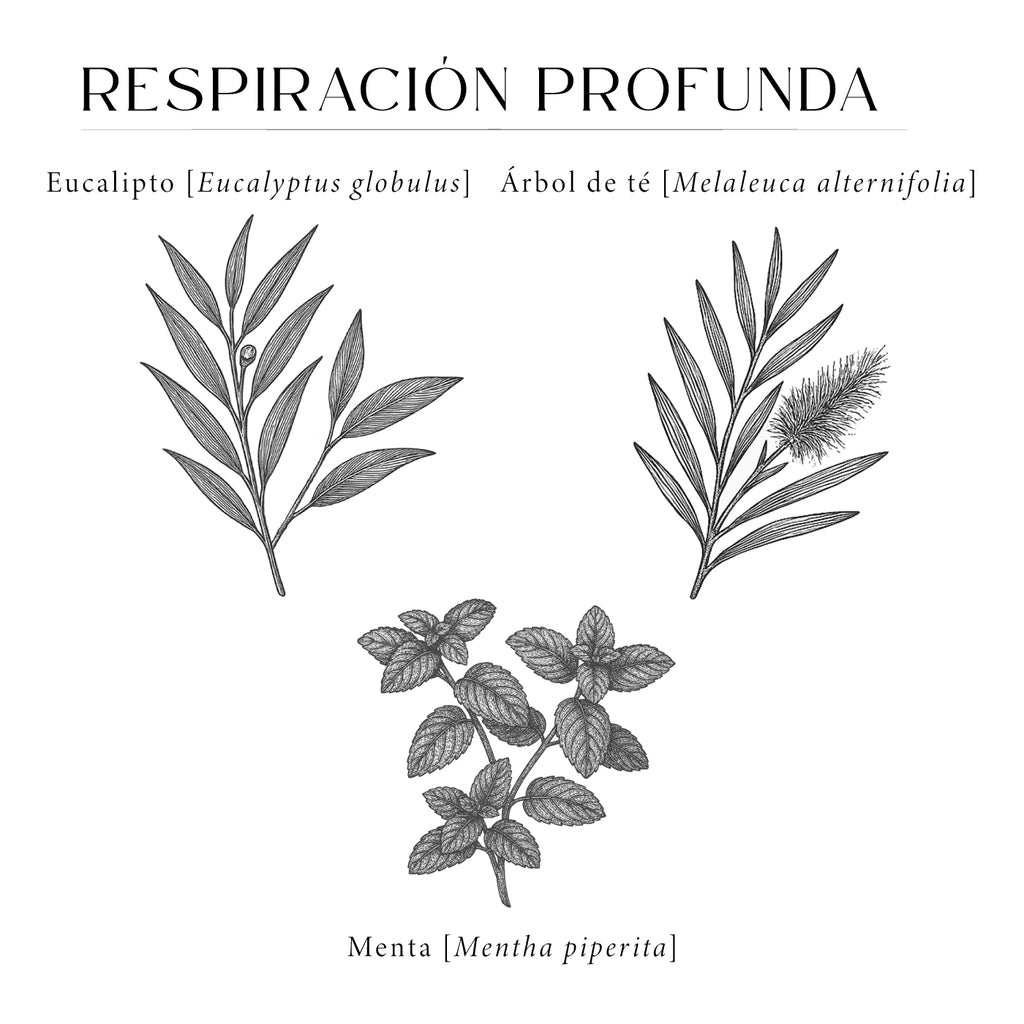 Respiración Profunda 480ml