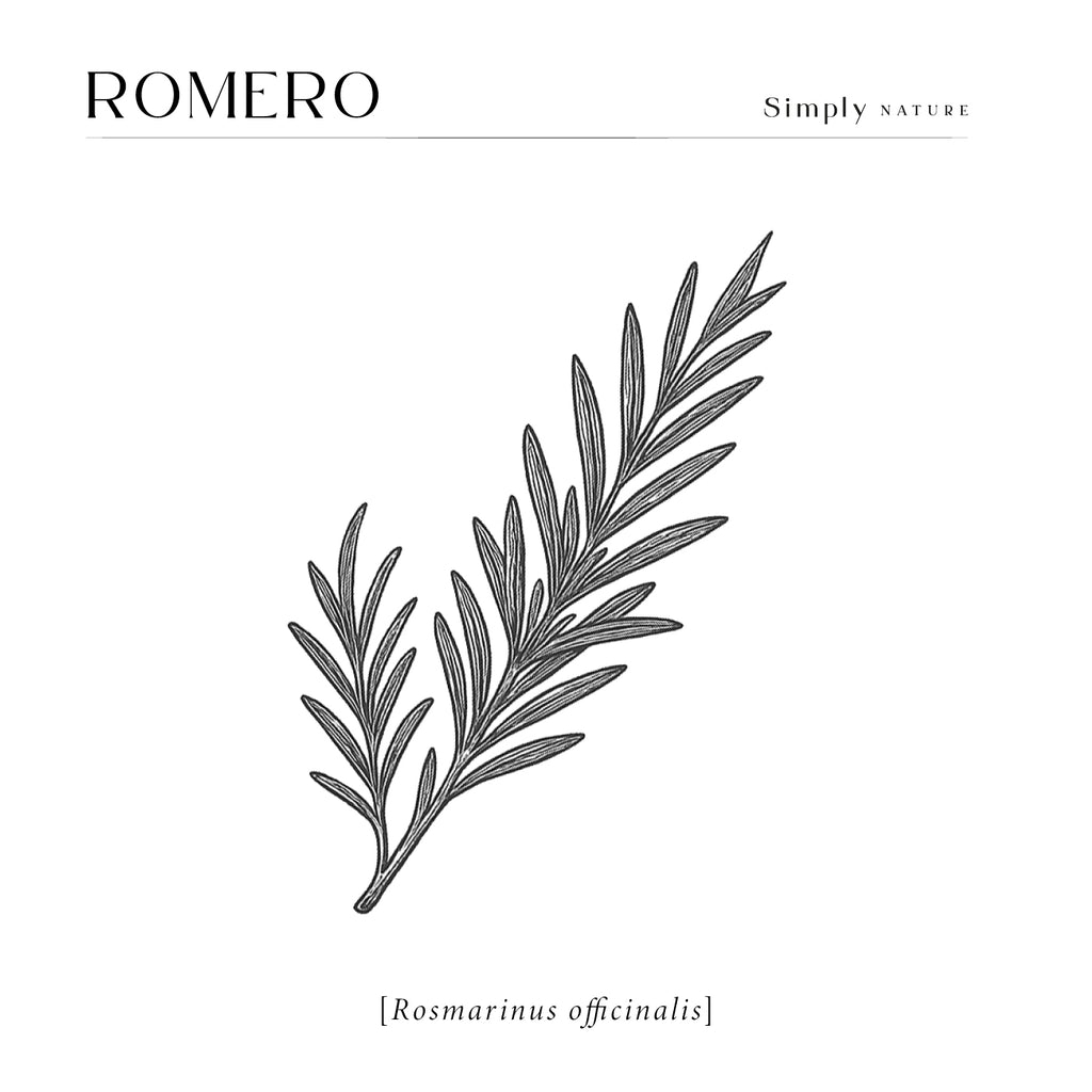 Romero (Rosmarinus officinalis) 480ml