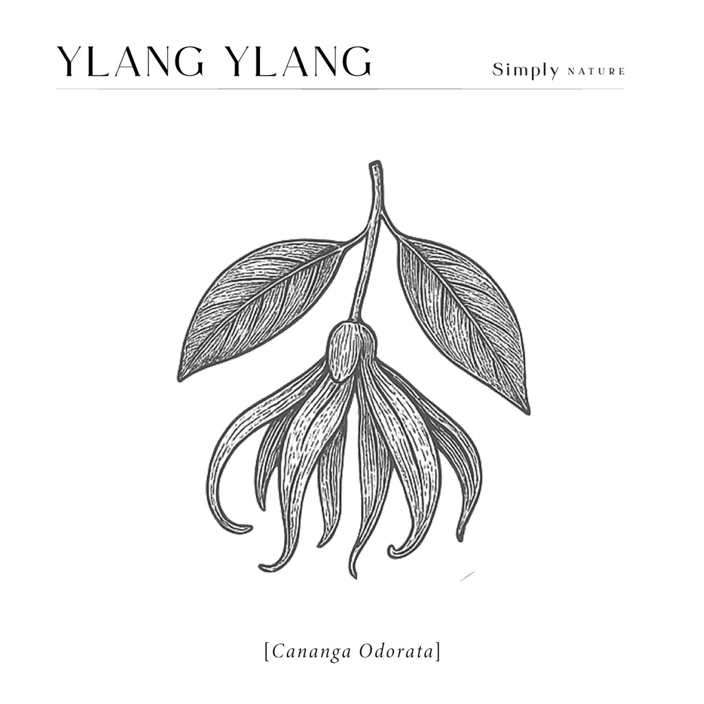 Ylang Ylang 480ml